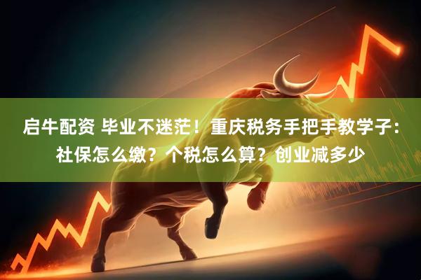启牛配资 毕业不迷茫！重庆税务手把手教学子：社保怎么缴？个税怎么算？创业减多少