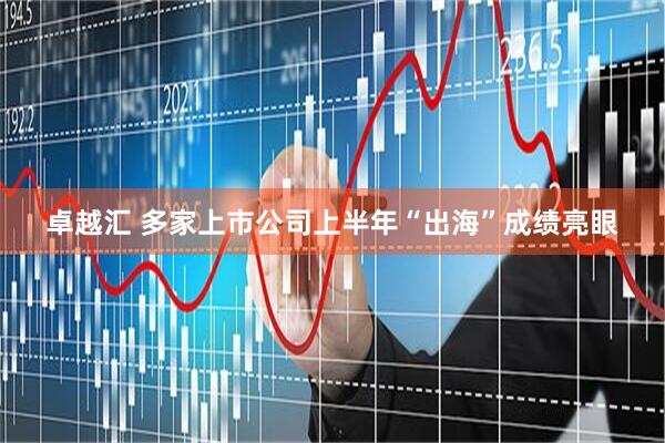 卓越汇 多家上市公司上半年“出海”成绩亮眼